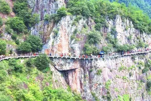 崩铁配音这么严格?真理医生CV透露滚字要骂几十遍,难怪这么带感